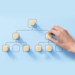 A hand creating a diagram that represents the hierarchical structure of a business For Illinois Entrepreneurs - Donnelly Law LLC